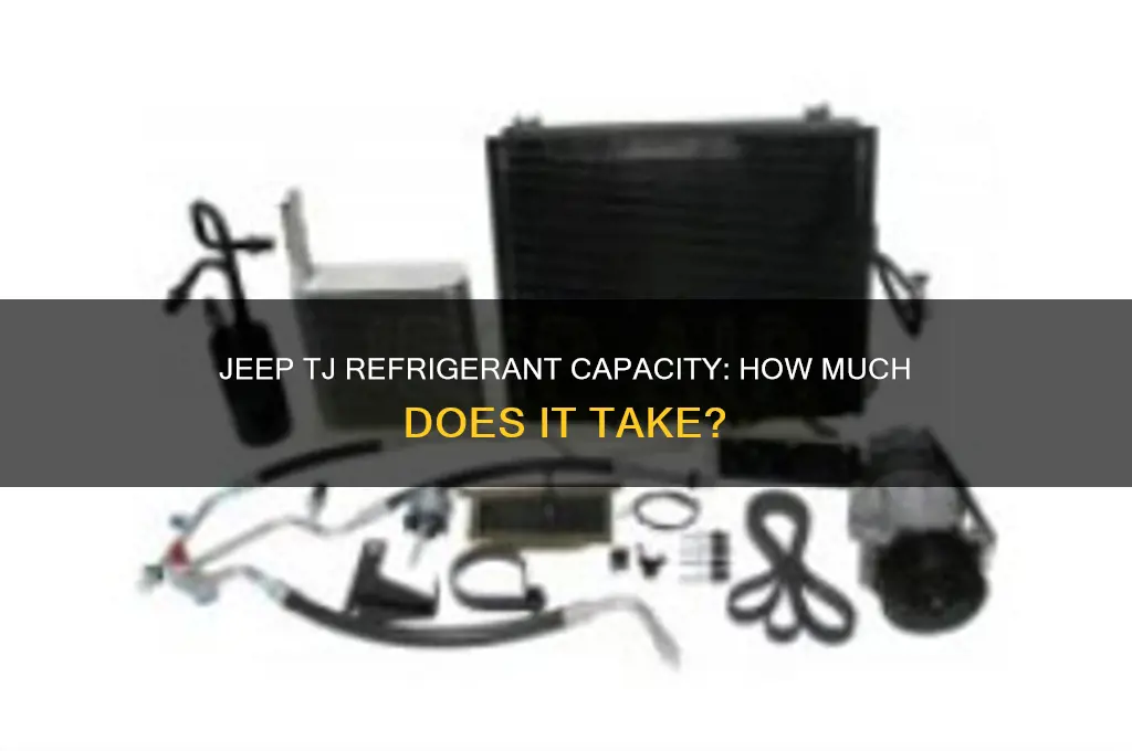 how much refrigerant does a jeep tj take