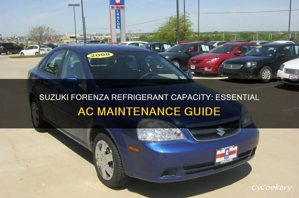 how much refrigerant does a suzuki forenza require