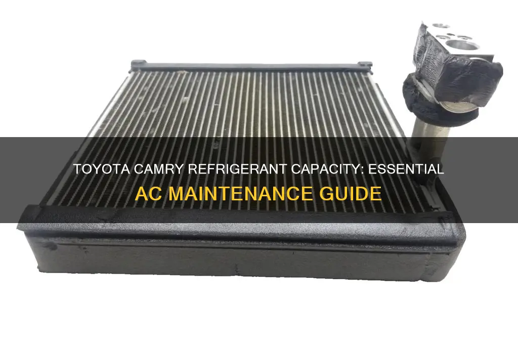 how much refrigerant does a toyota camry take