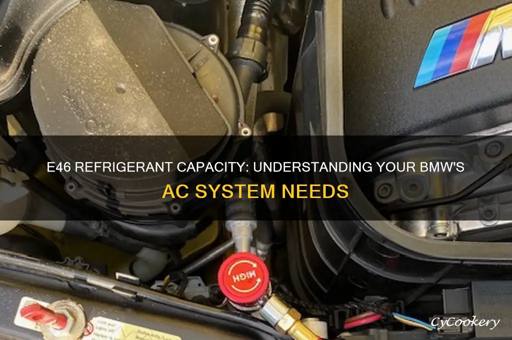 how much refrigerant does an e46 hold
