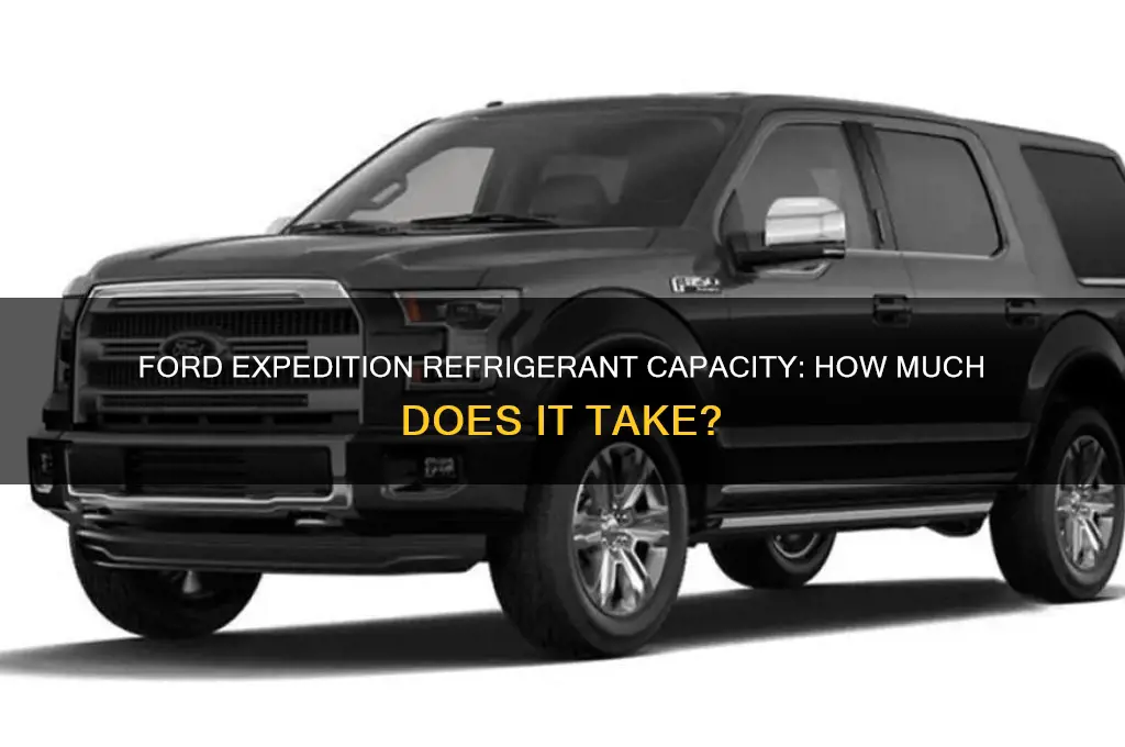 how much refrigerant does ford expedition take