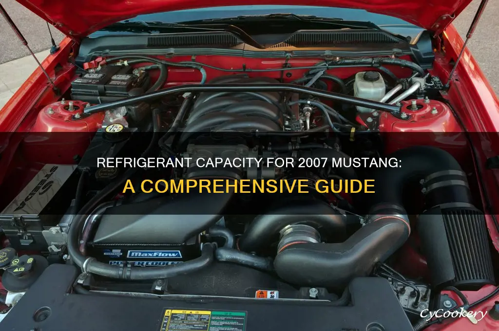 how much refrigerant does my 07 mustang take