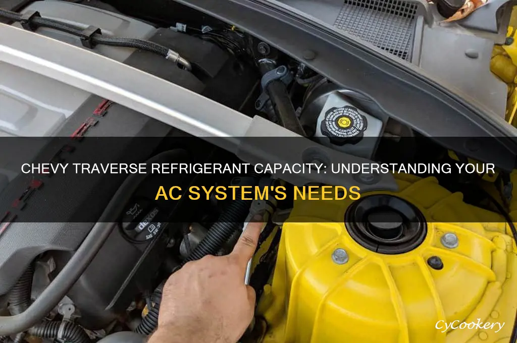 how much refrigerant does my chevy traverse hold