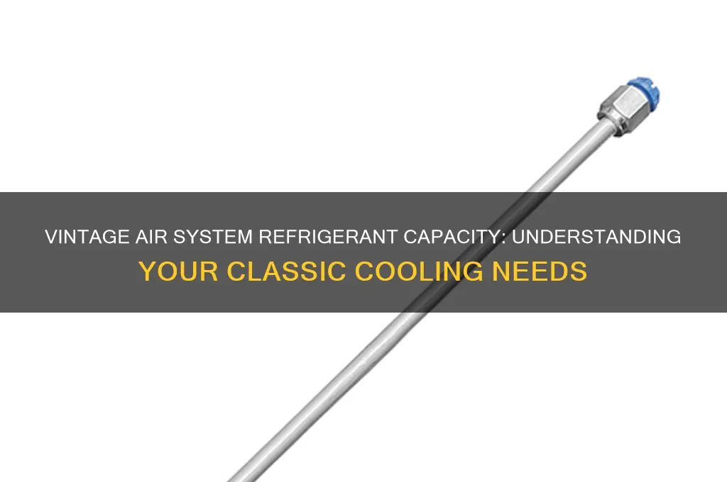 how much refrigerant does vintage air system hold