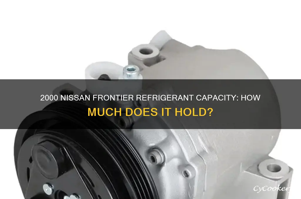 how much refrigerant for 2000 nissan frontier hold