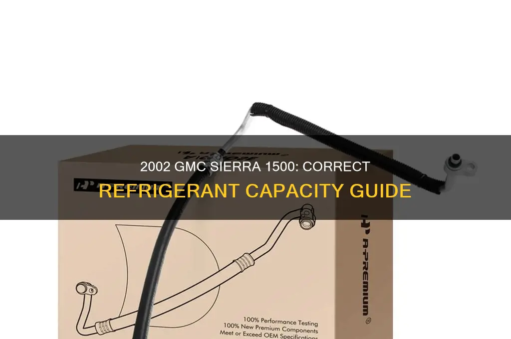 how much refrigerant for a 2002 gmc sierra 1500