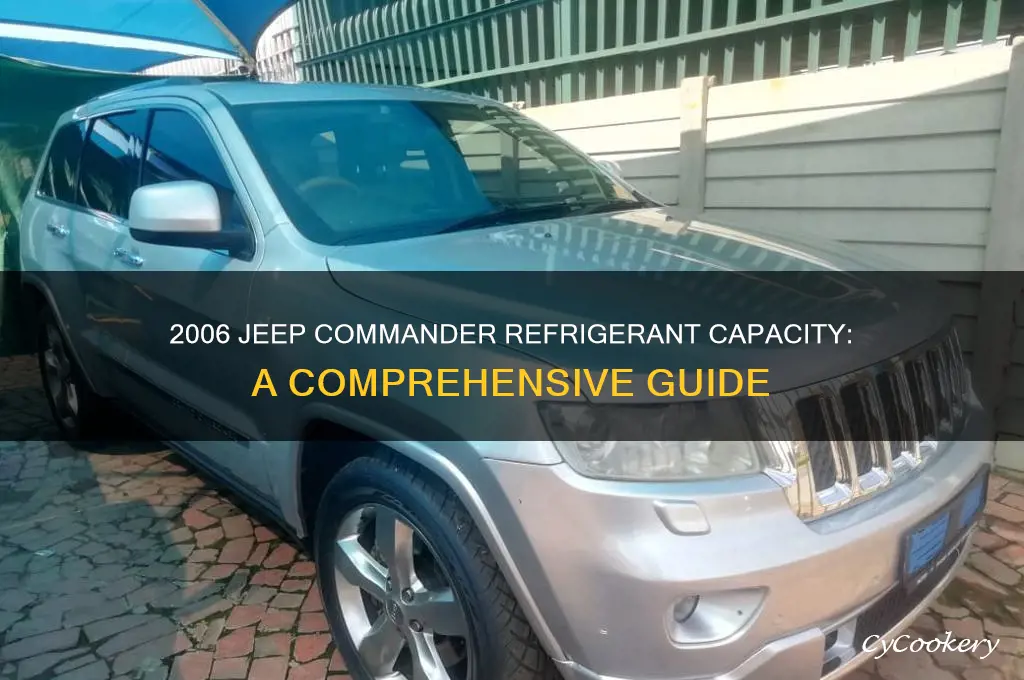 how much refrigerant for a 2006 jeep commander
