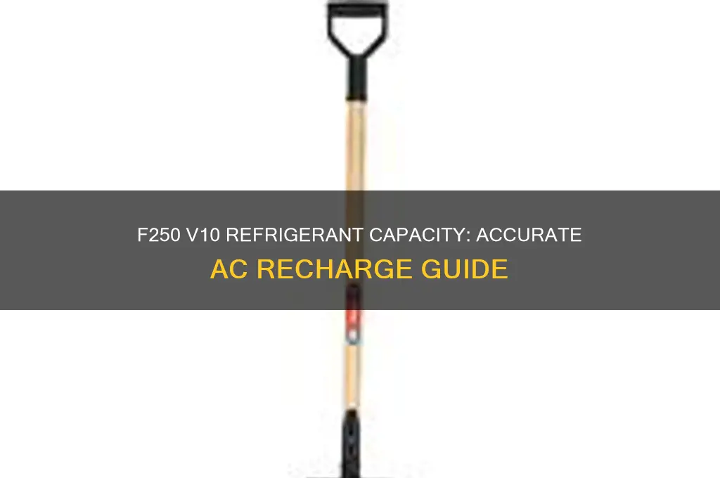 how much refrigerant goes in a f250 v10