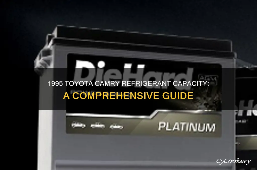 how much refrigerant goes into a 1995 toyota camry