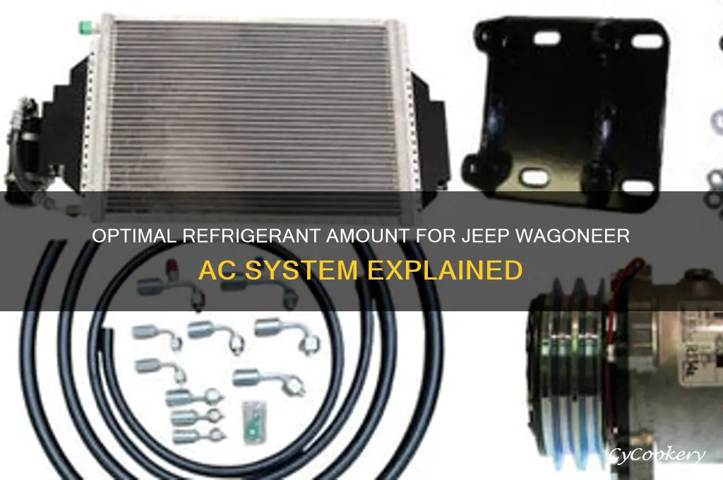 how much refrigerant goes into a jeep wagoneer