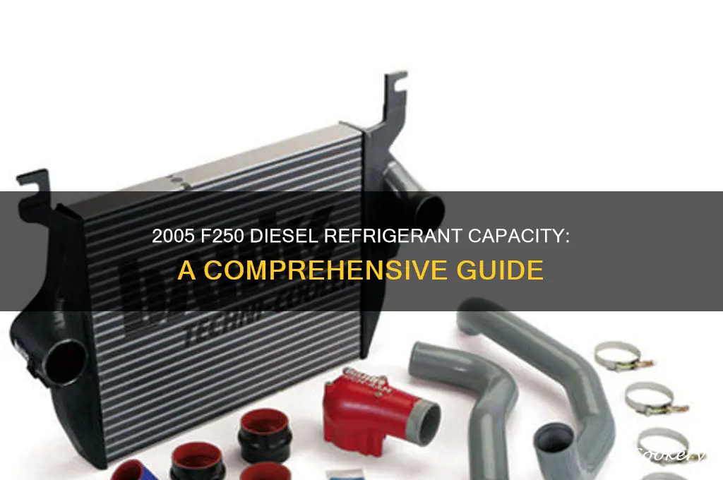 how much refrigerant in 2005 f250 diesel