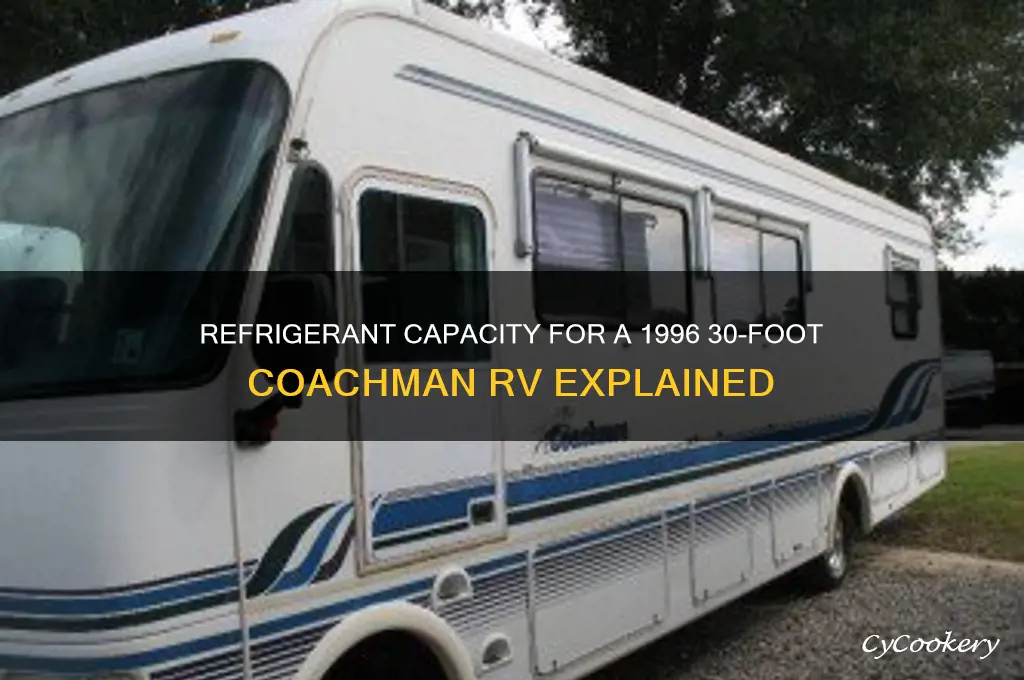 how much refrigerant in a 96 30 foot coachman