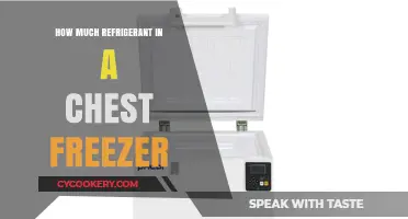 Chest Freezer Refrigerant Levels: Understanding Capacity and Maintenance Tips