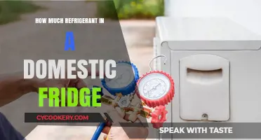 Understanding Refrigerant Levels in Your Home Fridge: A Quick Guide