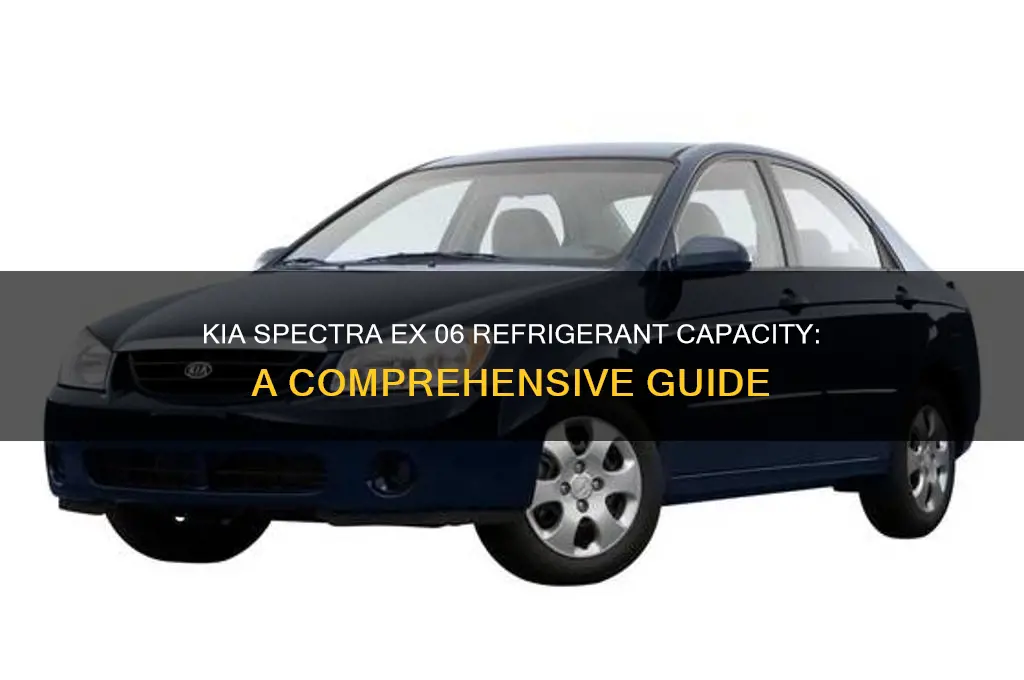 how much refrigerant in a kia spectra ex 06