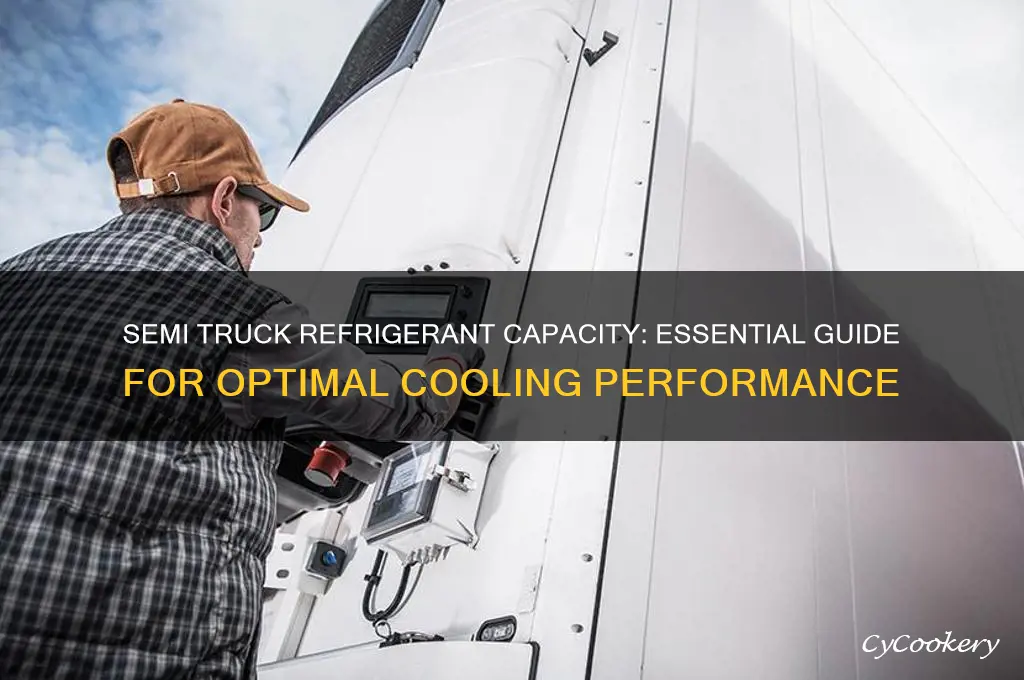 how much refrigerant in a semi truck
