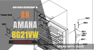 Amana BG21VW Refrigerant Capacity: How Much Does It Hold?