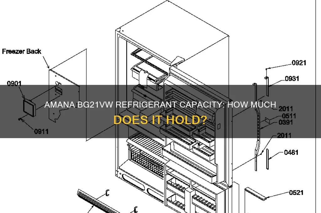 how much refrigerant in an amana bg21vw