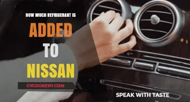 How Much Refrigerant to Add in Nissan AC Systems