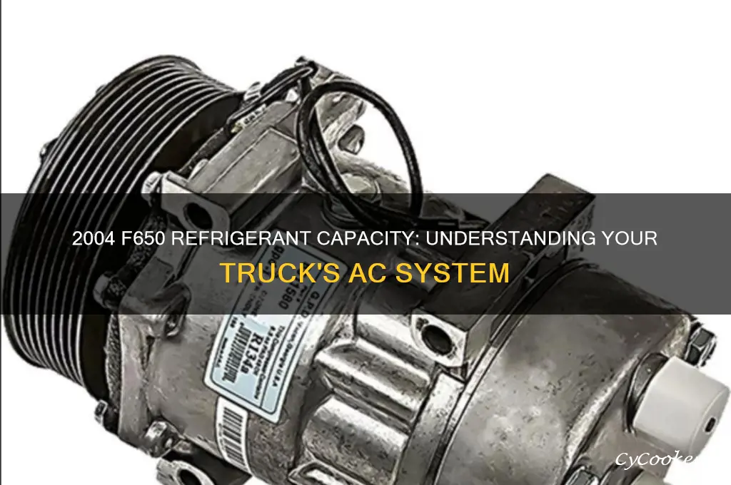 how much refrigerant is in a 2004 f650