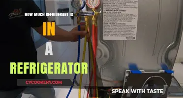 Refrigerant Quantity in Your Fridge: Understanding the Standard Amount