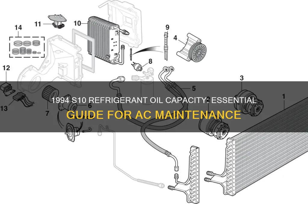 how much refrigerant oil for 1994 s10 take