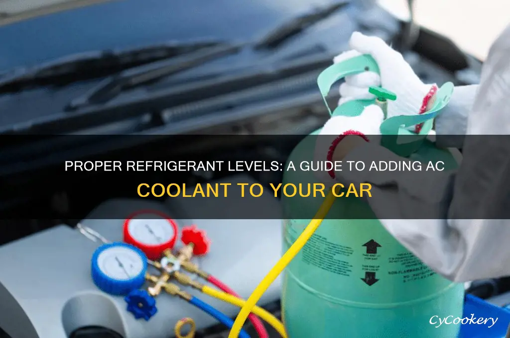 how much refrigerant should i add to my car