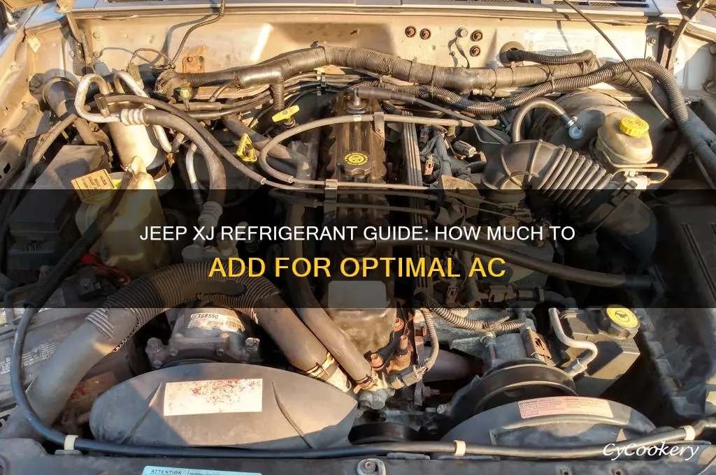 how much refrigerant to add jeep xj