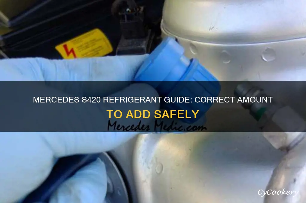 how much refrigerant to add to a mercedes s420