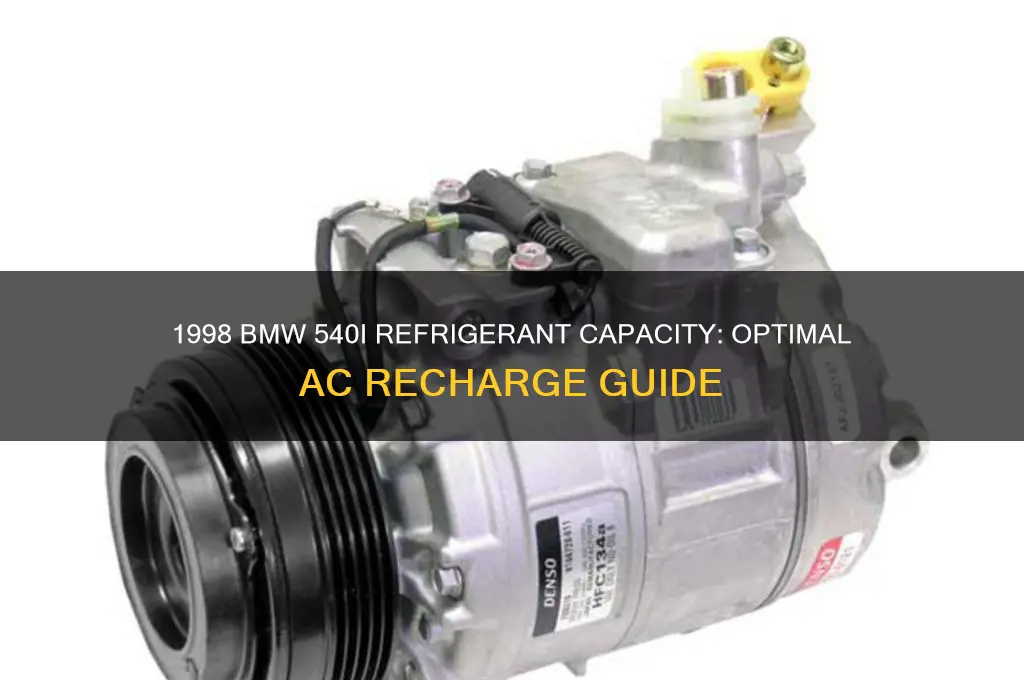 how much refrigerant to put in 1998 540i