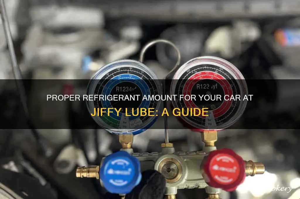 how much refrigerant to put in car jiffy lube