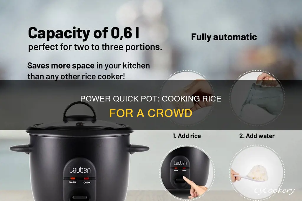 how much rice can I cook in power quick pot