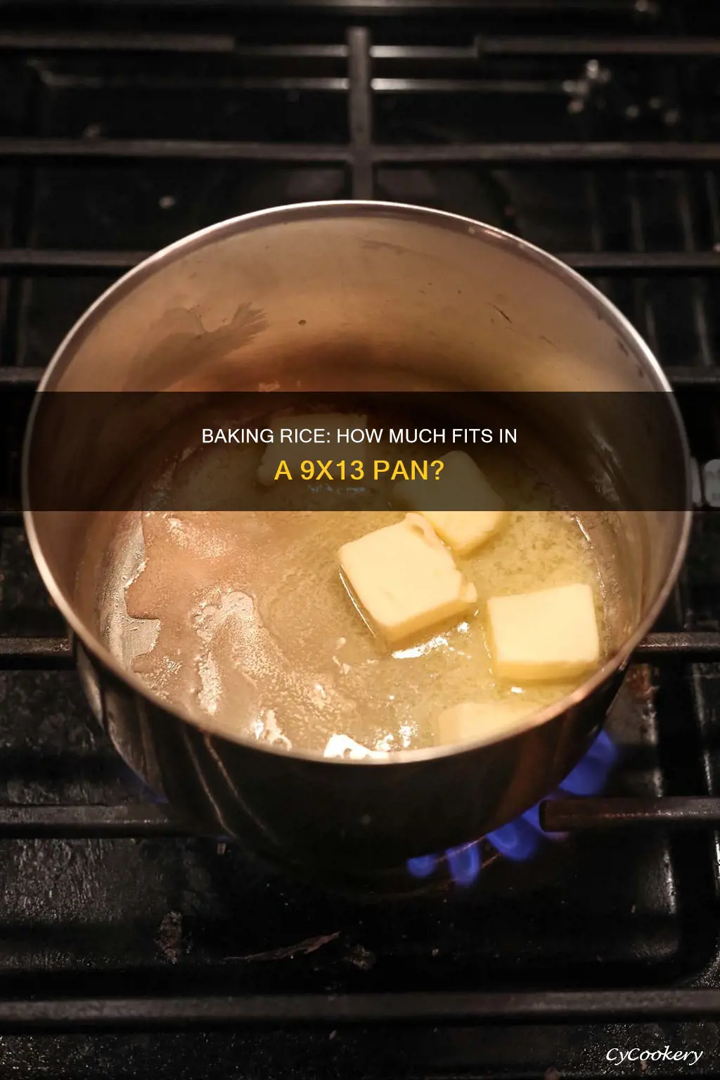 how much rice can you bake in a 9x13 pan
