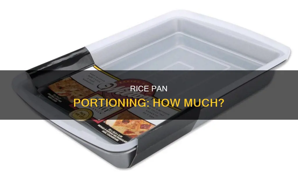 how much rice for 9x13 pan