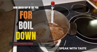 Sap to Syrup: Perfecting the Boil