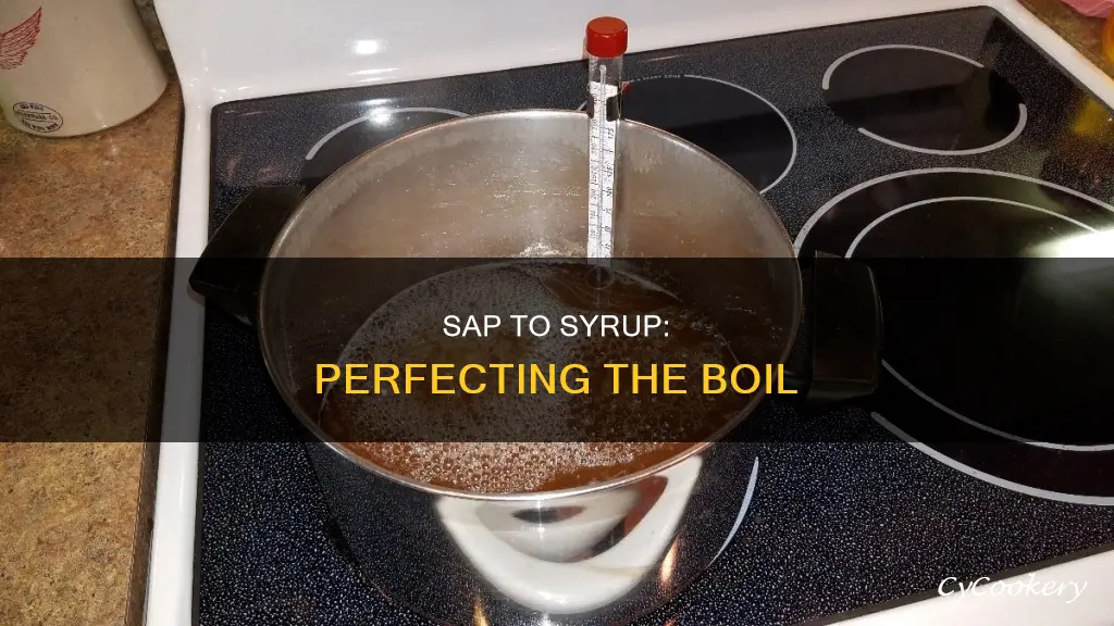 how much sap in the pan for boil down