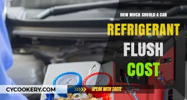 Car Refrigerant Flush Cost: What to Expect and How to Save