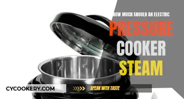 Steaming Under Pressure: Electric Cookers' Optimal Performance