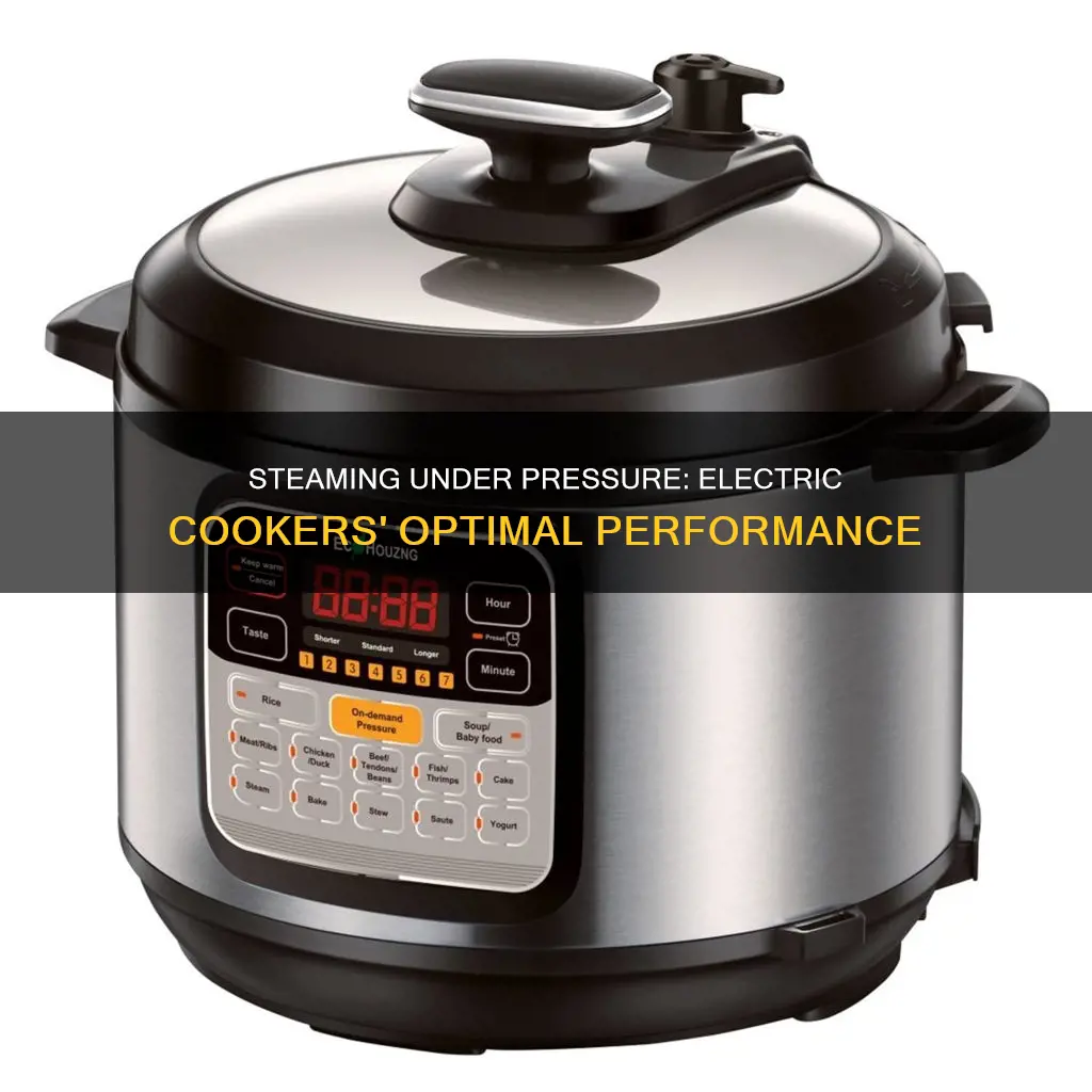 how much should an electric pressure cooker steam