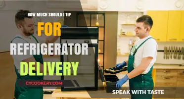 Refrigerator Delivery Tipping Guide: How Much is Appropriate?