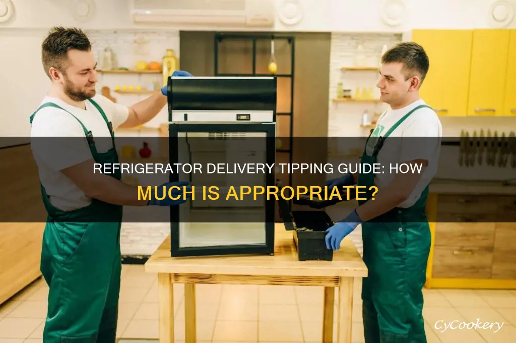 how much should i tip for refrigerator delivery