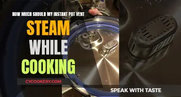 Instant Pot Steam Venting: How Much is Normal?