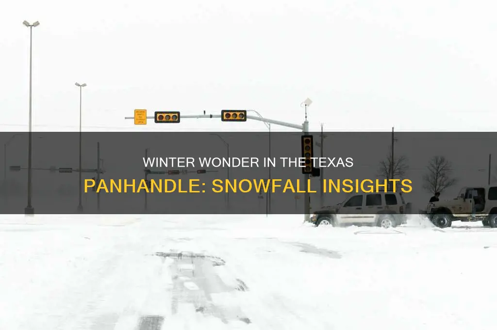 how much snow does the tx pan handle get