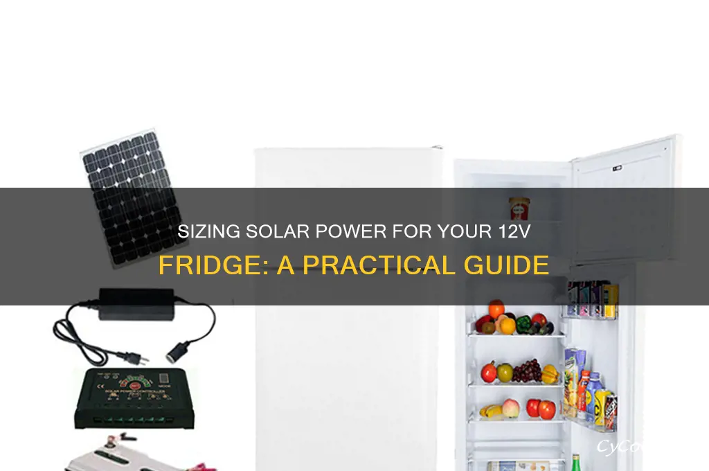 how much solar for a 12 v refrigerator