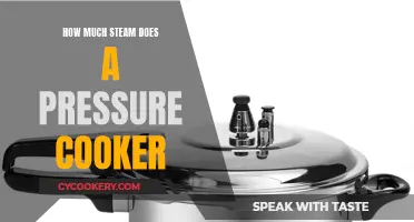 Steam Power: Maximizing Pressure Cooker Steam Output