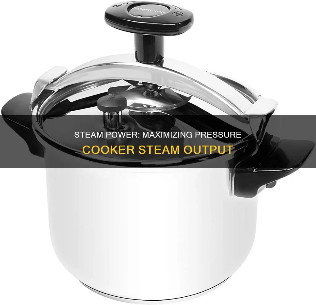 how much steam does a pressure cooker