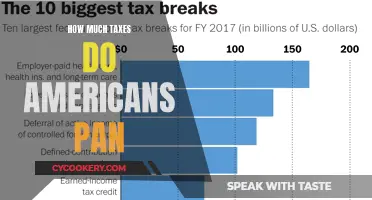 Americans: Paying Taxes or the Taxman?