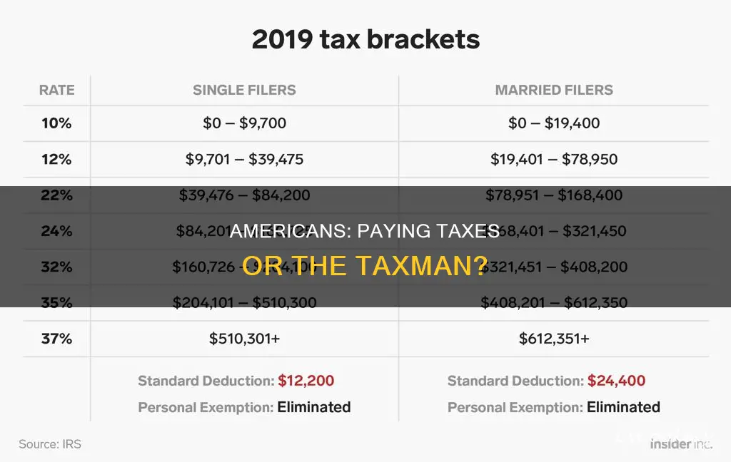 how much taxes do americans pan