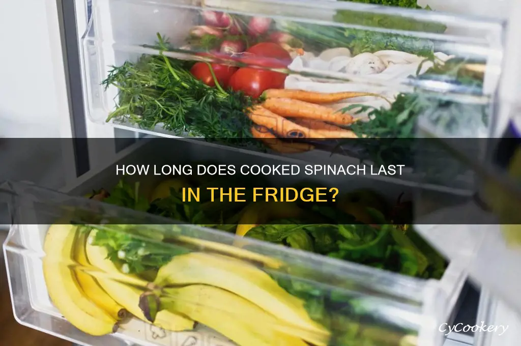 how much time cooked spinach in refrigerator