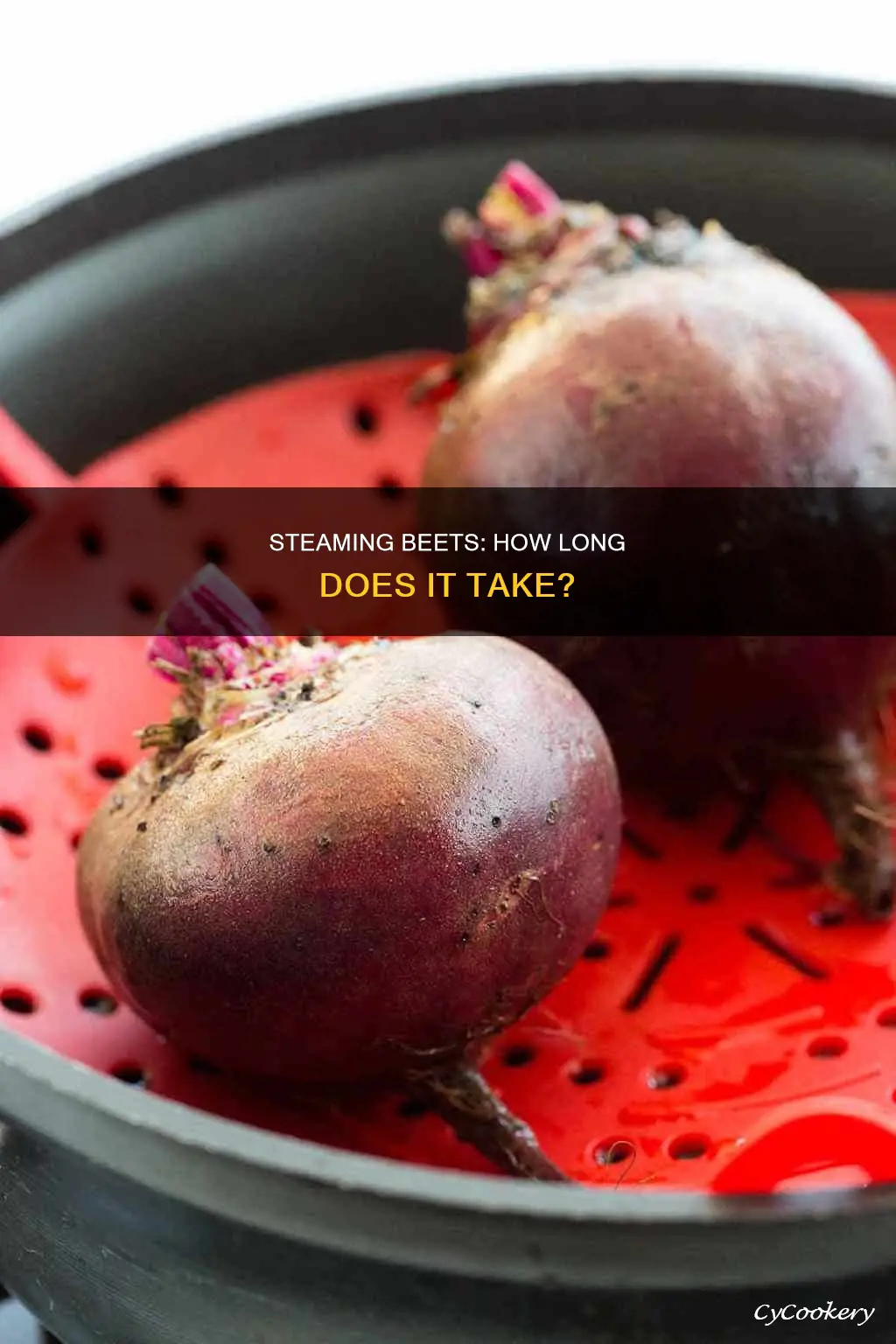 how much time to cook beets in a steamer